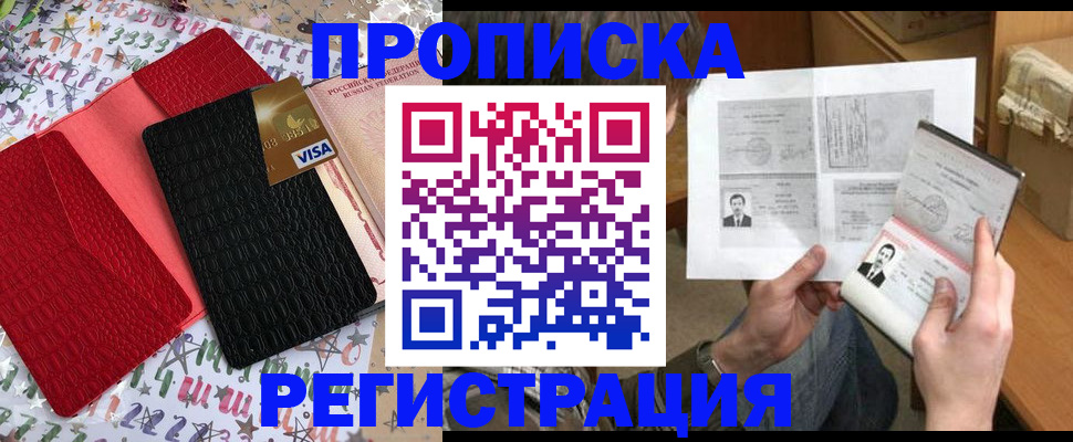 прописка поиск в Долгопрудном